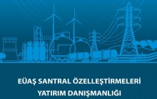 EÜAŞ Özelleştirmeleri Yatırım Danışmanlığı Tanıtım Dokümanı